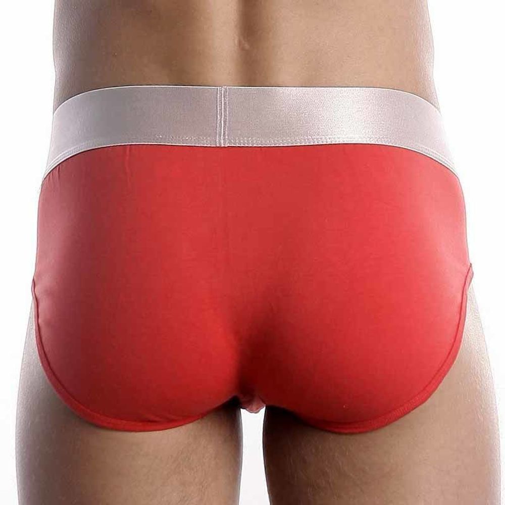 Мужские трусы брифы Calvin Klein Brief Modal Red