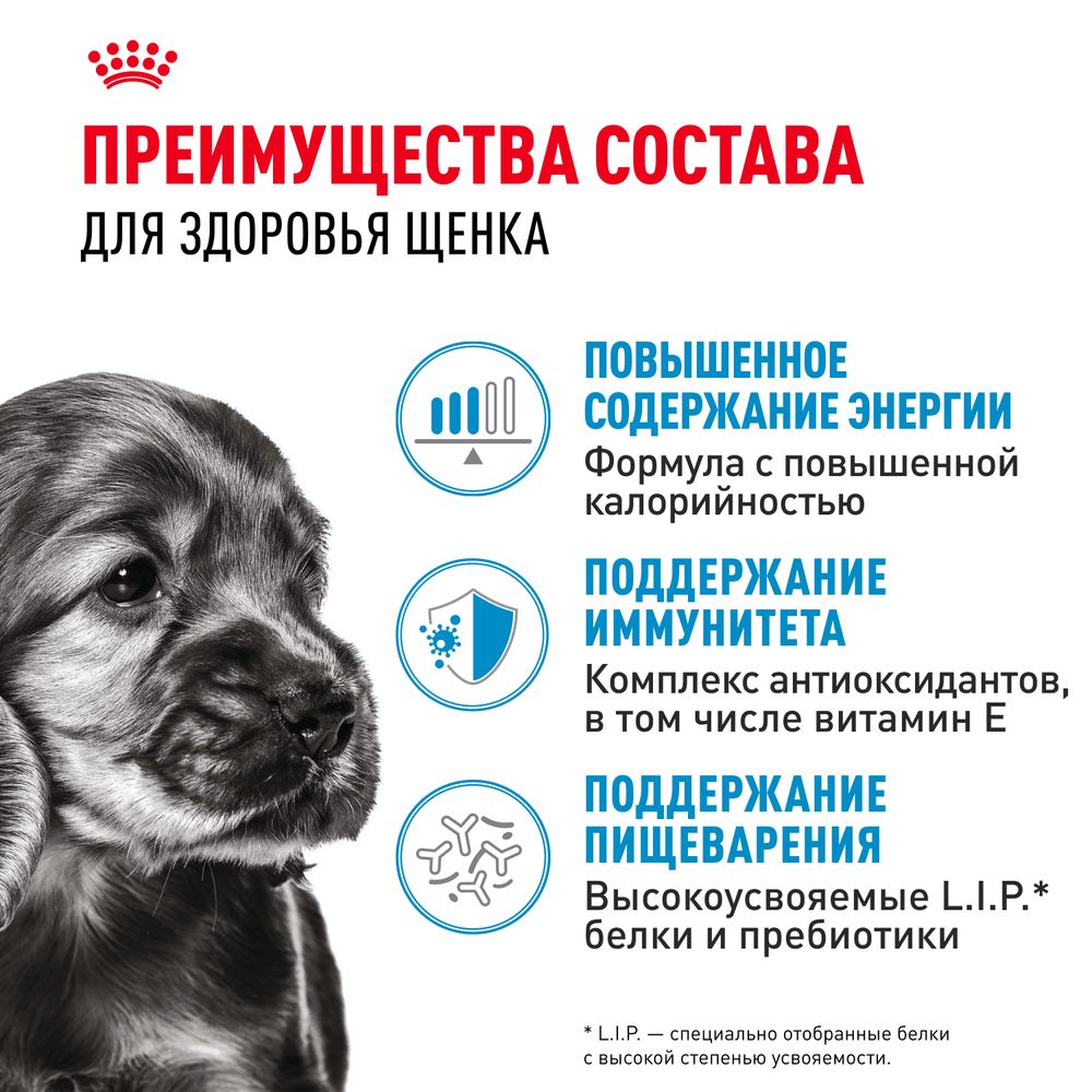 Пауч Royal Canin Mini Puppy для щенков мелких пород в возрасте до 10 месяцев, кусочки в соусе Пауч Royal Canin Mini Puppy для щенков мелких пород в возрасте до 10 месяцев, кусочки в соусе