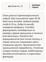Семена огурцов Меренга F1, 7 семян (Vita Green / Вита Грин)