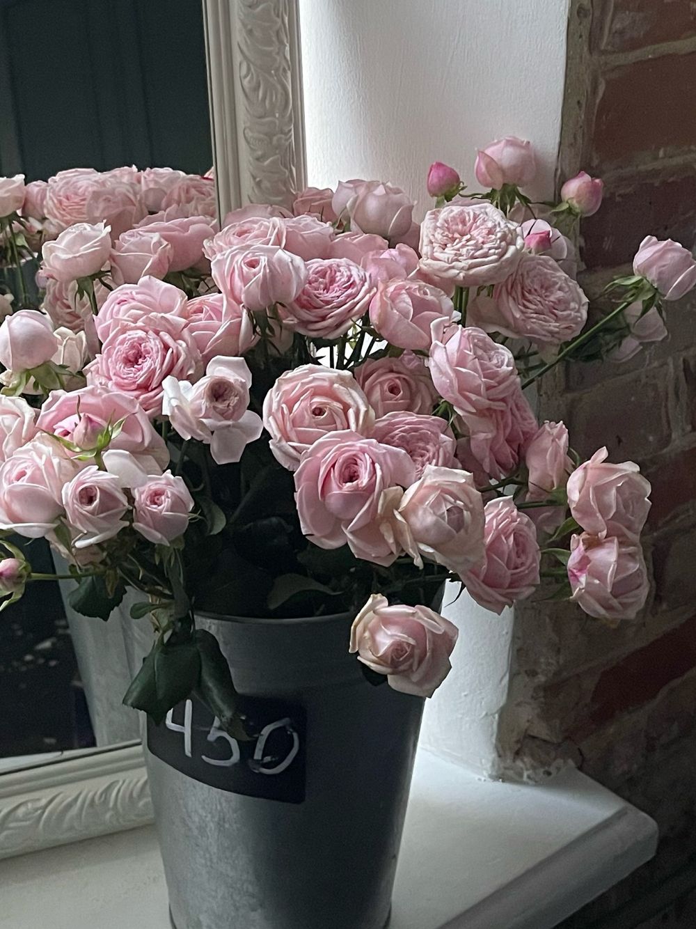 Пионовидная кустовая роза Мэнсфилд Пинк парк