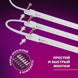 Модульный светильник для растений ЭРА FITO-3х10W-LINE-RB90 красно-синего спектра 30 Вт | Линейные фито светильники