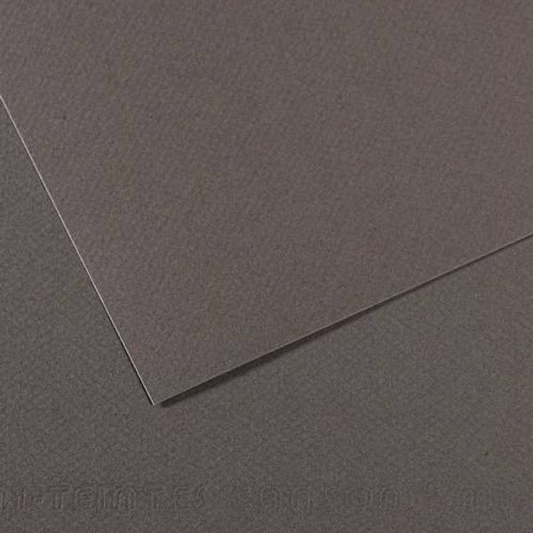 Бумага для пастели Mi-Teintes 160 г/м², 50х65 см, 10 л, №352 Розовая орхидея, Canson, C31032S101