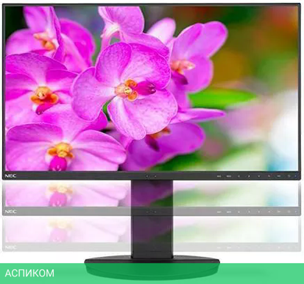 Монитор NEC EA241F-BK