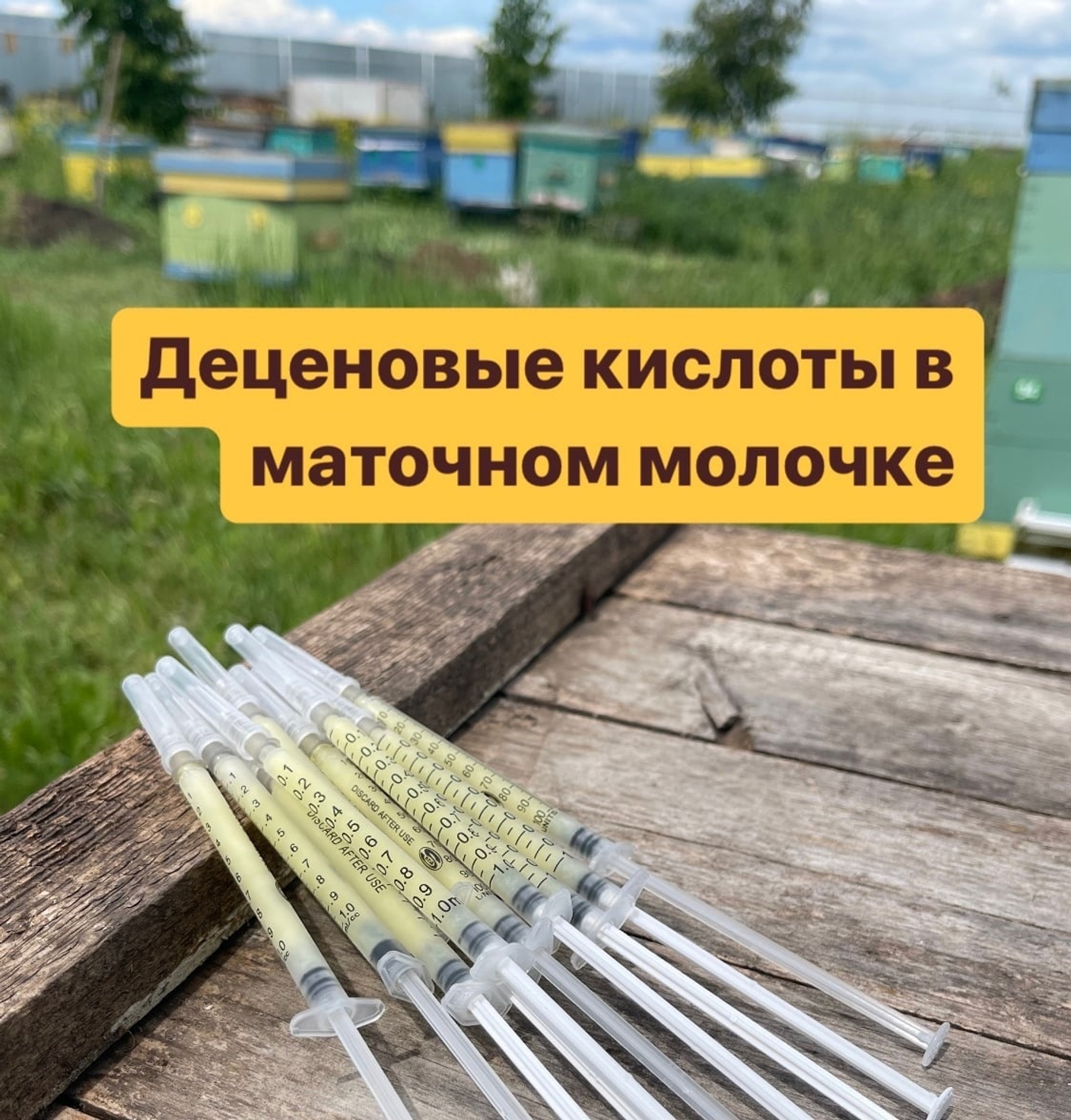 ДЕЦЕНОВЫЕ КИСЛОТЫ В МАТОЧНОМ МОЛОЧКЕ