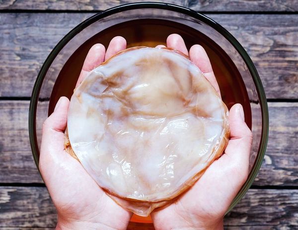 “Чайный гриб снижает сахар в крови” – новости медицины.