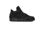 Кроссовки Jordan Air Jordan 4 2020