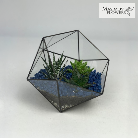 Флорариум "Октавия"