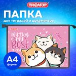 Папка для тетрадей ПИФАГОР А4, 1 отделение, картон/пластик, на молнии, "Best team", 272124