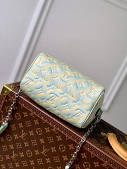 Louis Vuitton Speedy 20