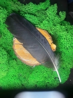 Перо Черного Ворона