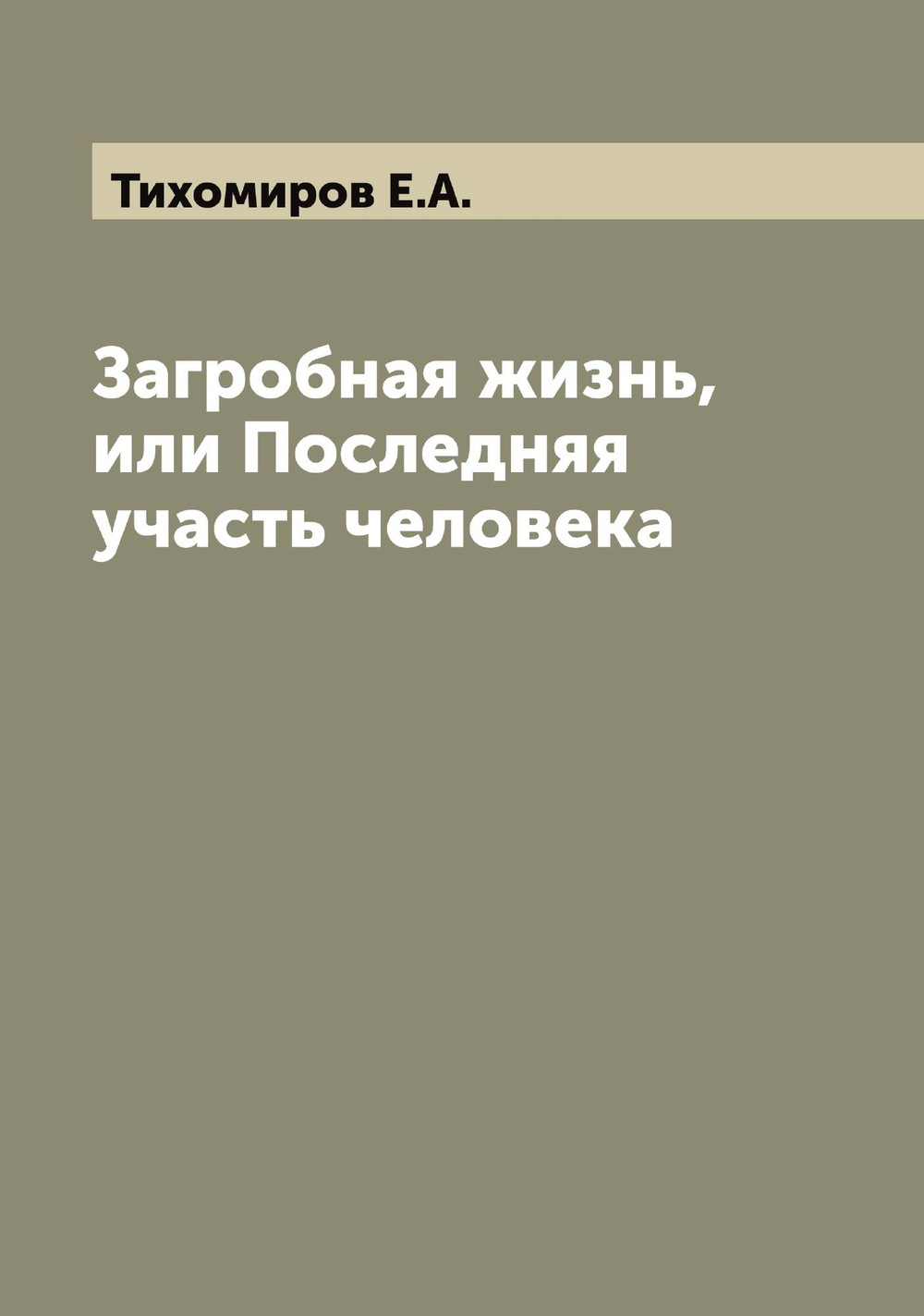 Загробная жизнь, или Последняя участь человека | Тихомиров Е.А.