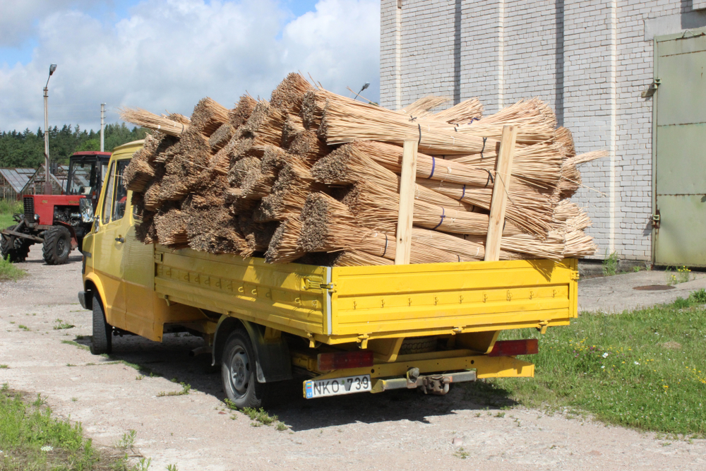 Прут ивовый очищенный Арт№ SP225