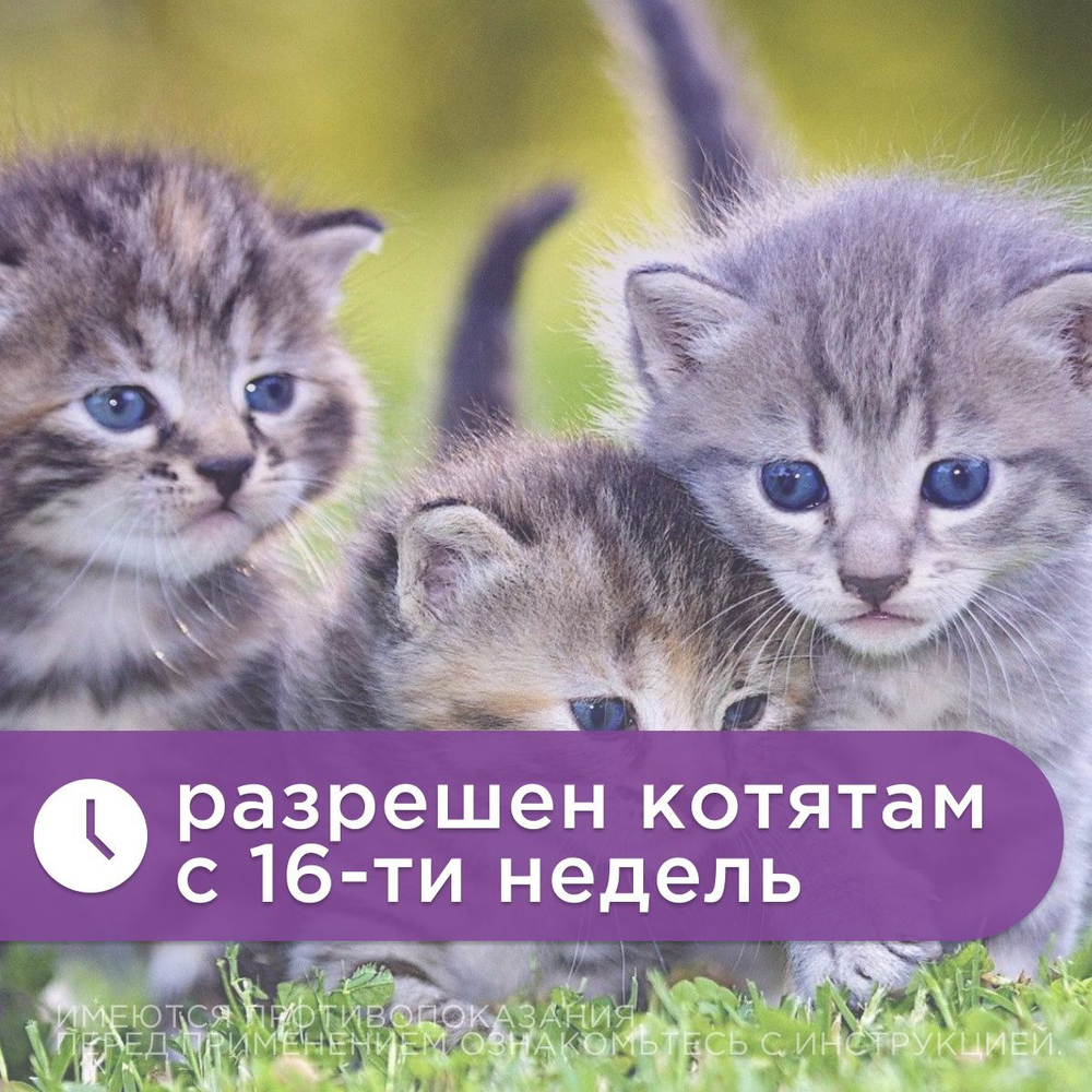 Раствор для инъекций для предотвращения рвоты различного генеза у кошек и собак Серения (Zoetis), 20мл Маропитант