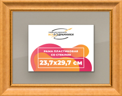 Рамка 23,7x29,7 для постера и фотографий