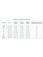 Термоштаны мужские Lasting ZEK, синтетика, голубой, S-M