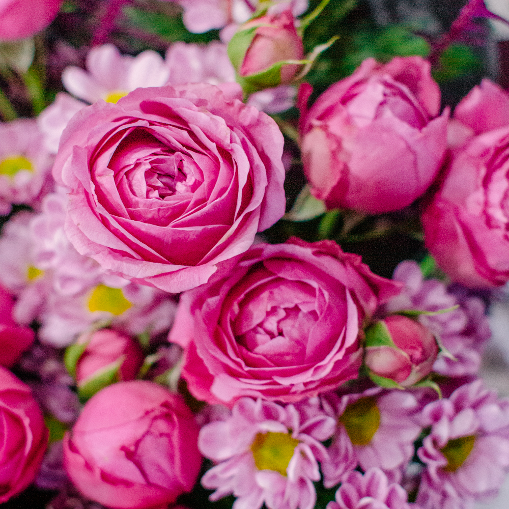 73. Нежный поэтичный дуо-букет с кустовыми розами и сантини