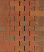 Тротуарная плитка ВЫБОР, форма Прямоугольник 100*200, h=60мм