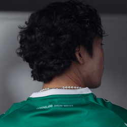 Вердер / Домашняя