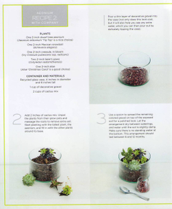 The Plant Recipe Book: 100 Living Arrangements for Any Home in Any Season