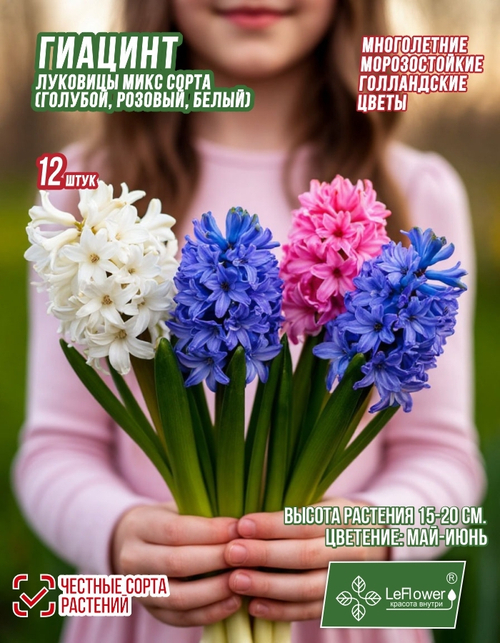 Гиацинт Луковицы, Микс сортов,12шт