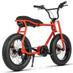 Электровелосипед Ruff Cycles Lil' Buddy Special Edition (2024)