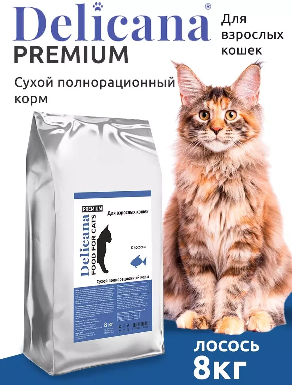 Delicana сухой корм для взрослых кошек с Лососем, 8 кг