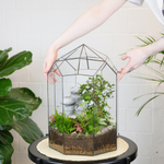 Готовый флорариум Ботанический сад с бонсай XL с водопадом