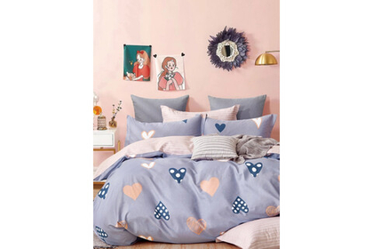 Постельное белье GoodNight Сатин Делюкс E204 с компаньоном 1,5 сп. (с нав. 50х70)