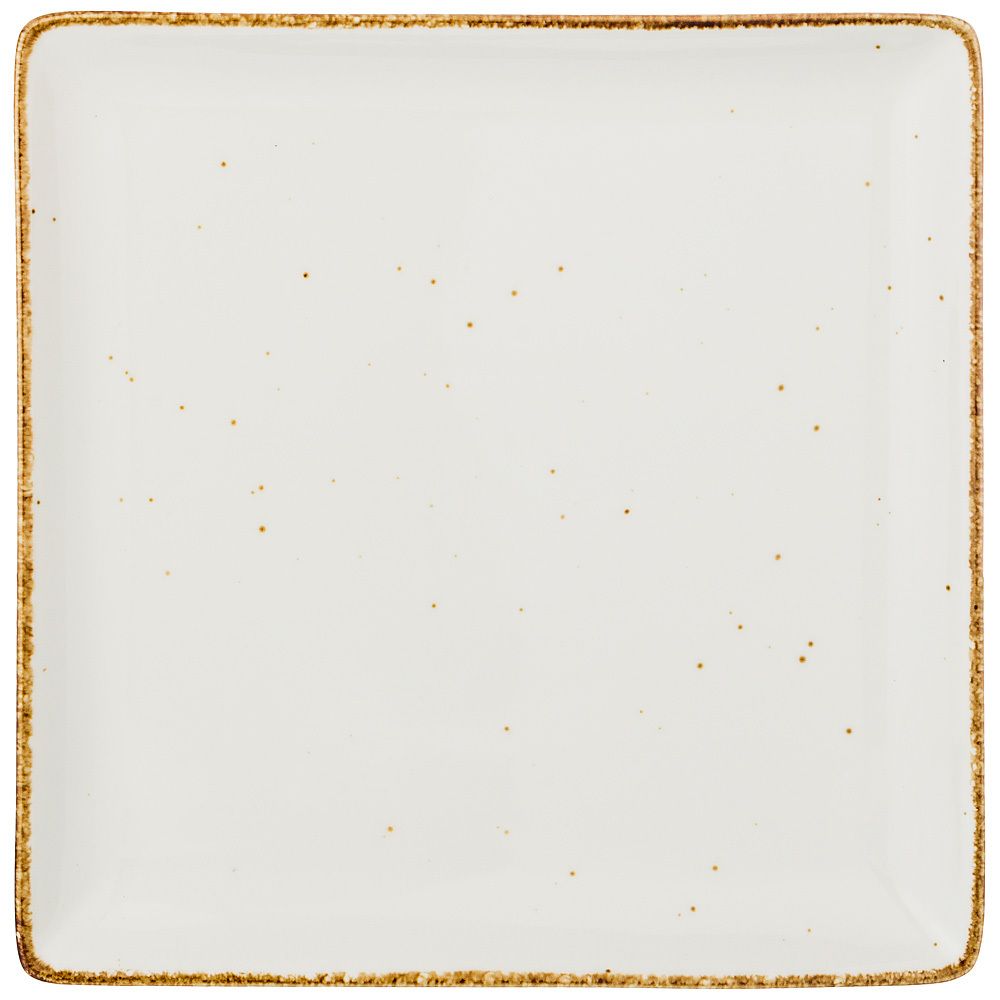 ТАРЕЛКА ОБЕДЕННАЯ КВАДРАТНАЯ "NATURE" 25,5 СМ (МАЛ=3ШТ./КОР=12ШТ.)