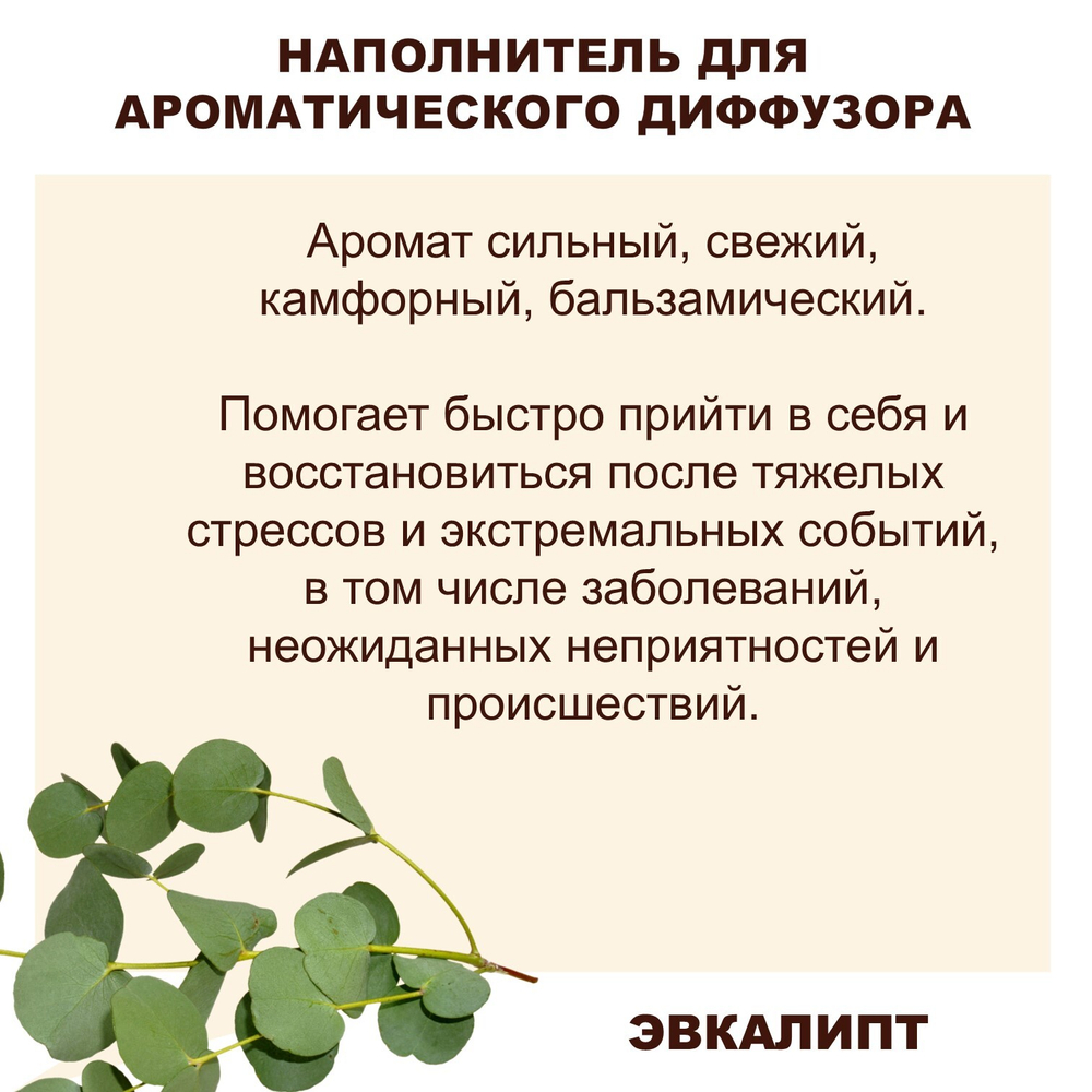 ЭВКАЛИПТ - Наполнитель для ароматического диффузора