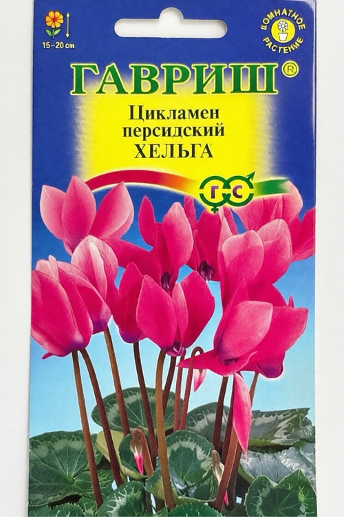 Цикламен Хельга 3 шт СМЦ-365