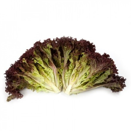 Cемена салата, Кармези, Rijk Zwaan, 5 шт.