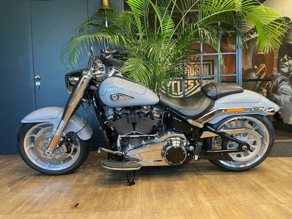 Harley-Davidson Fat Boy 117 Billiard Gray, 2025