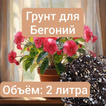 Грунт для Бегонии, 2 литра