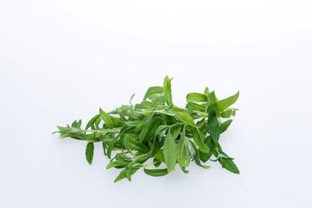 Вербена лимонная