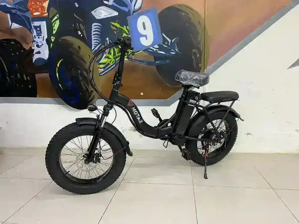 Электровелосипед MOTAX E-NOT BIG BOY 3 48V12A