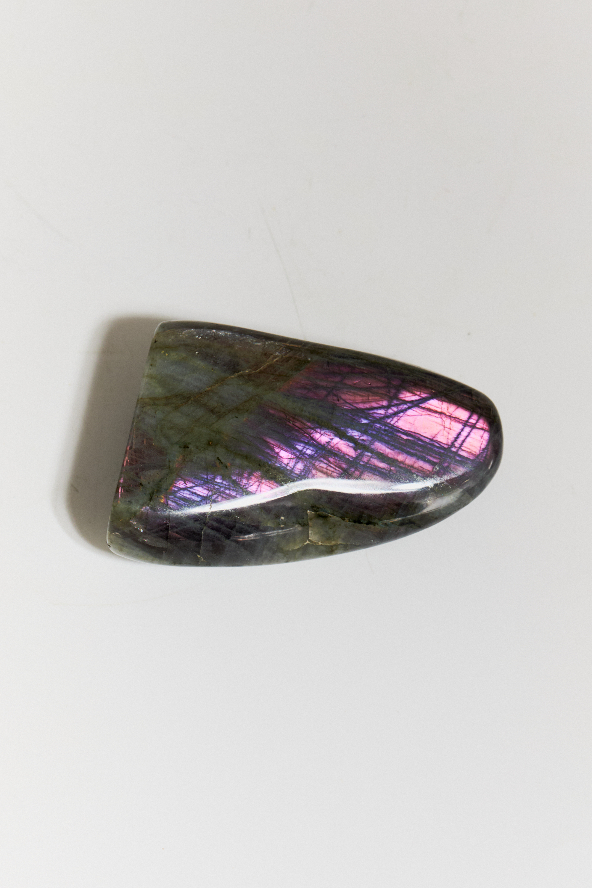 Срез Лабрадора S