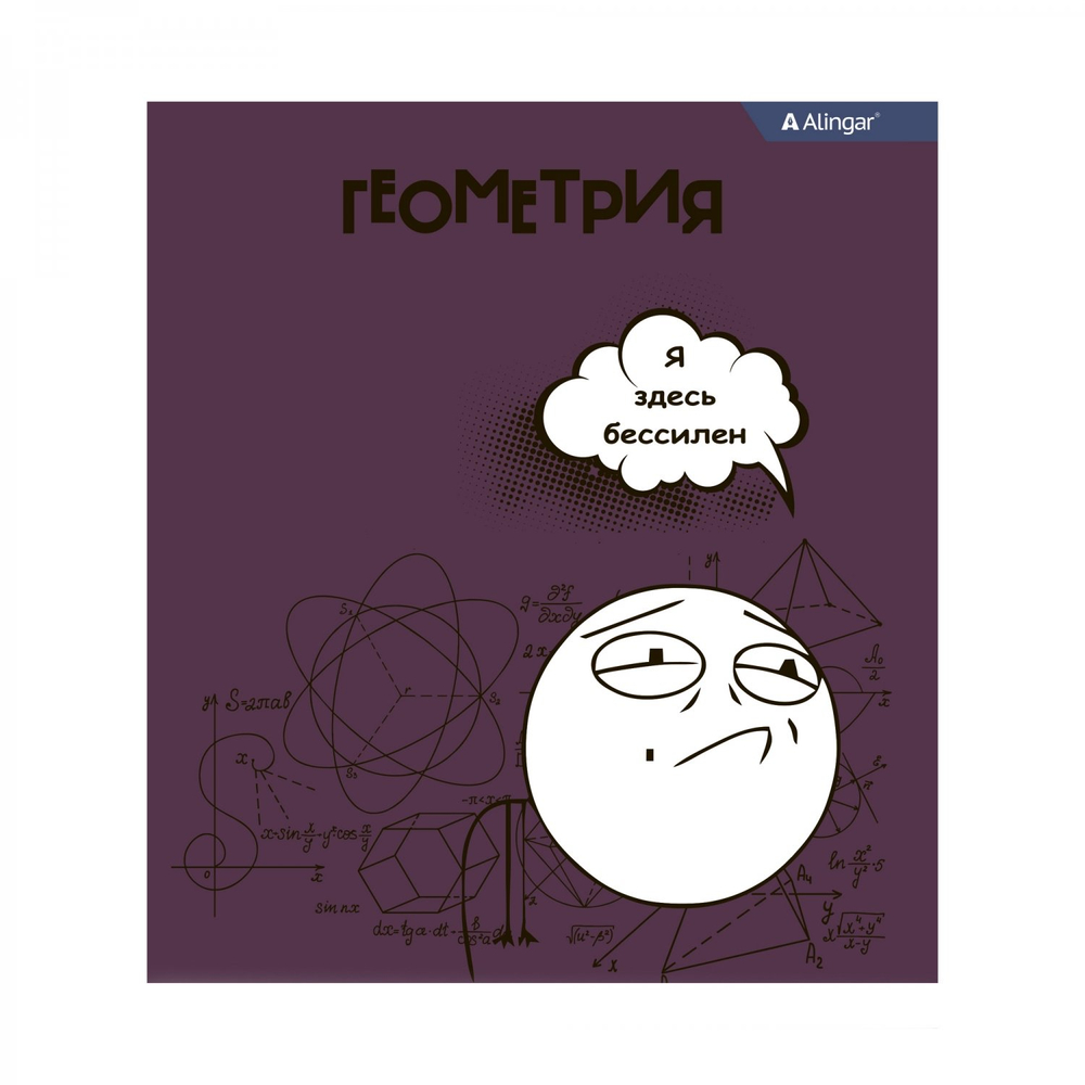 Тетрадь предметная "Геометрия" А5 48л., клетка, со справ. материалом, скрепка, мелованный картон(стандарт), блок офсет, Alingar "Мемы"