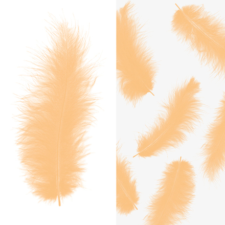Перья персиковый 30 шт