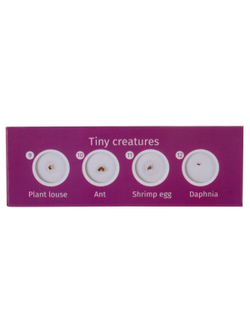 Набор микропрепаратов Levenhuk LabZZ C12, существа