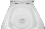 Унитаз подвесной Azario Teramo 340х490х350 безободковый, система слива "Скрытое торнадо", в комплекте с сиденьем микролифт (AZ-0052-UQ3)
