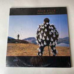 Винтажная виниловая пластинка LP Pink Floyd Delicate Sound Of Thunder (Италия 1988)