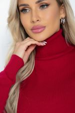 Водолазка Зимняя история (красная) Б14521-20М LT Collection