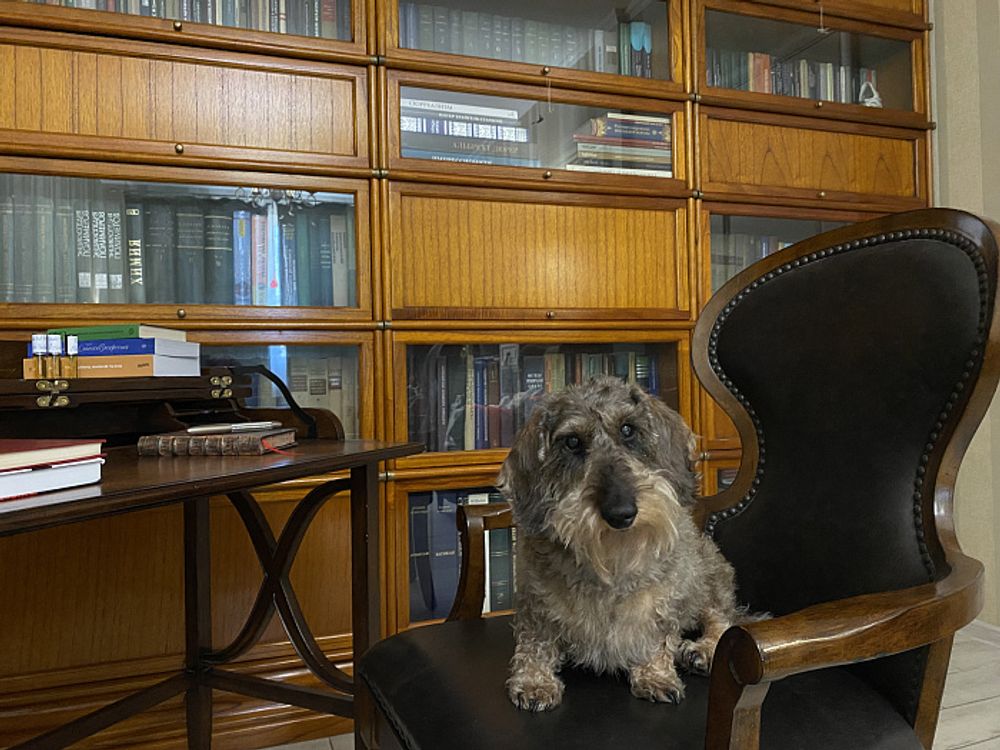 Бюро "Бруксби"