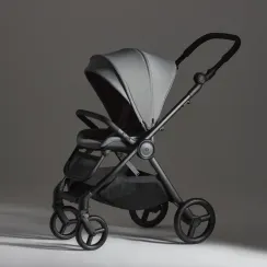 Коляска ANEX iQ 2 в 1 Loft