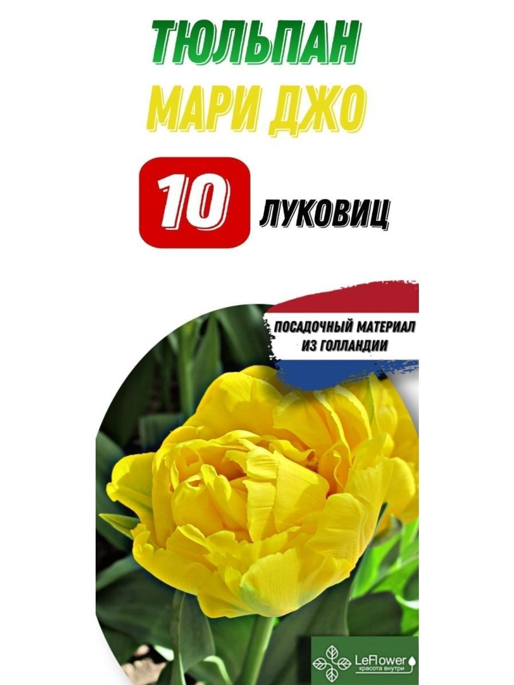 Тюльпан Луковица, Мари Джо, 10шт