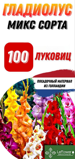 Гладиолус Луковица, Микс сортов, разбор 14+, 100шт