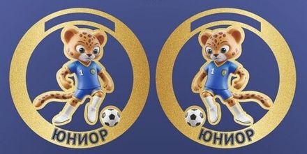Медали