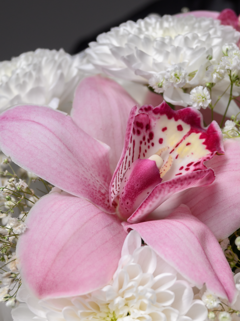 Королева сердца *