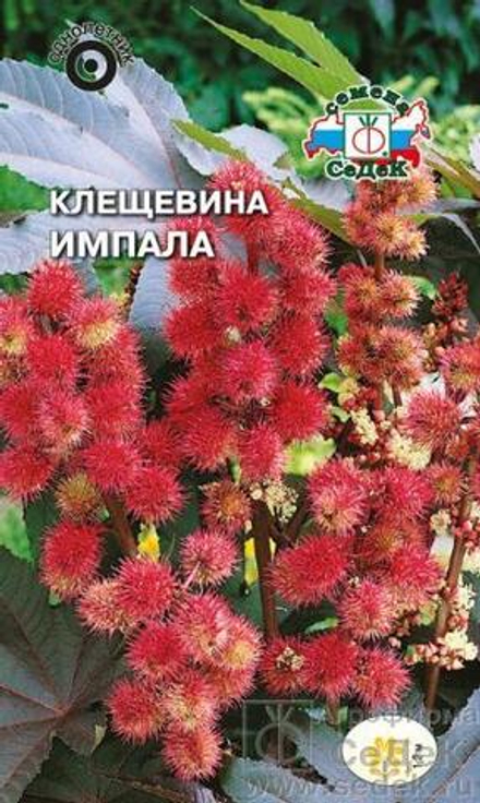 Клещевина Импала 2 гр Седек